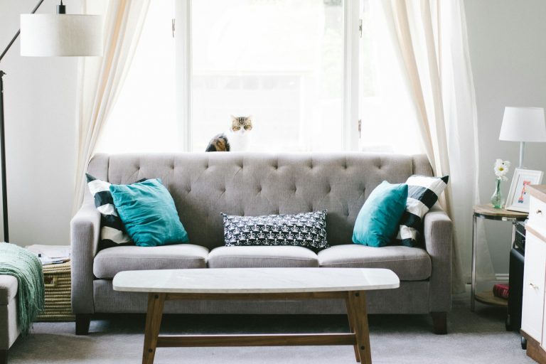 sofa protection